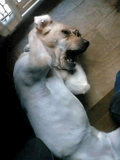 我不要听